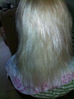 /album/fotogalerie/pred-prodlouzenim/